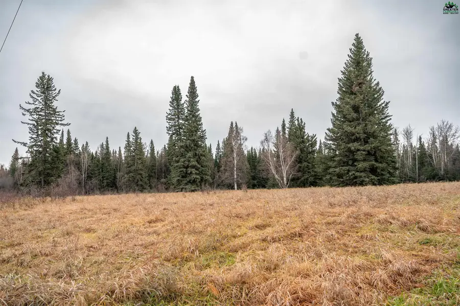 NHN RICHARDSON HIGHWAY, Delta Junction, AK 99737 - #3