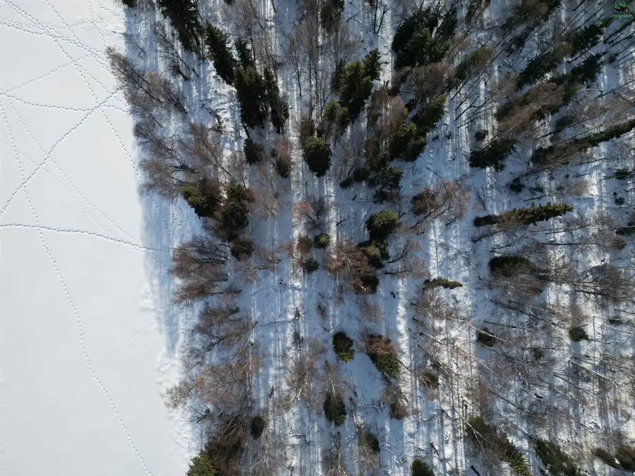 LOT 2, BLOCK B RIVER PARK DRIVE, Fairbanks, AK 99712 - #3