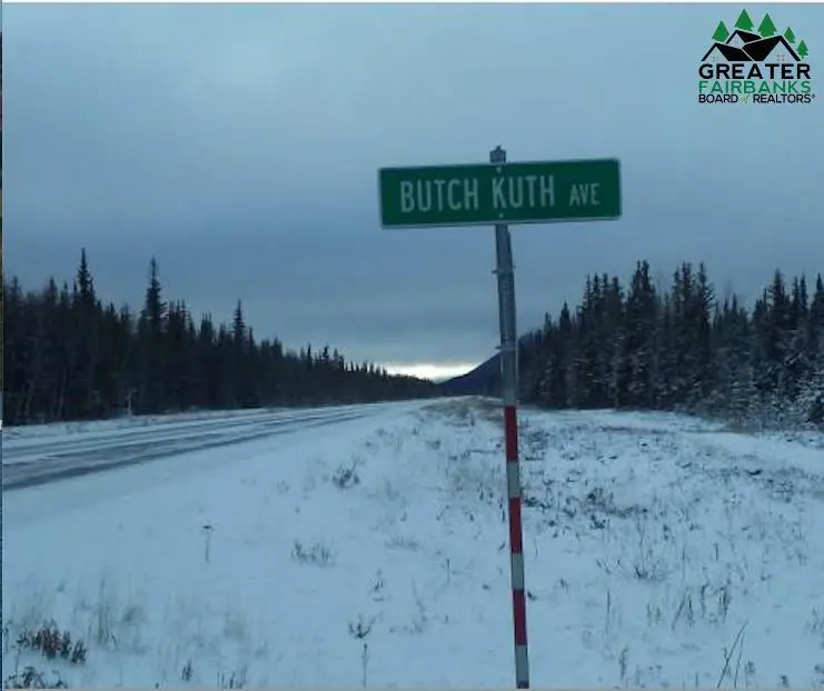 nhn BUTCH KUTH, Tok, AK 99780 - #1