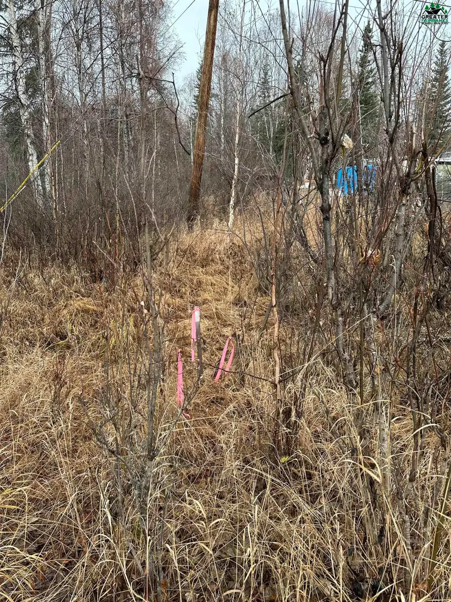 NHN OWNBY ROAD, North Pole, AK 99705 - #2
