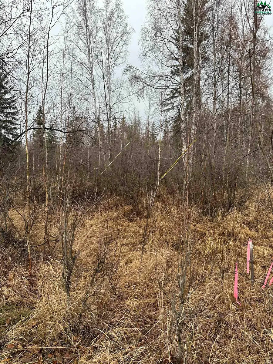 NHN OWNBY ROAD, North Pole, AK 99705 - #3