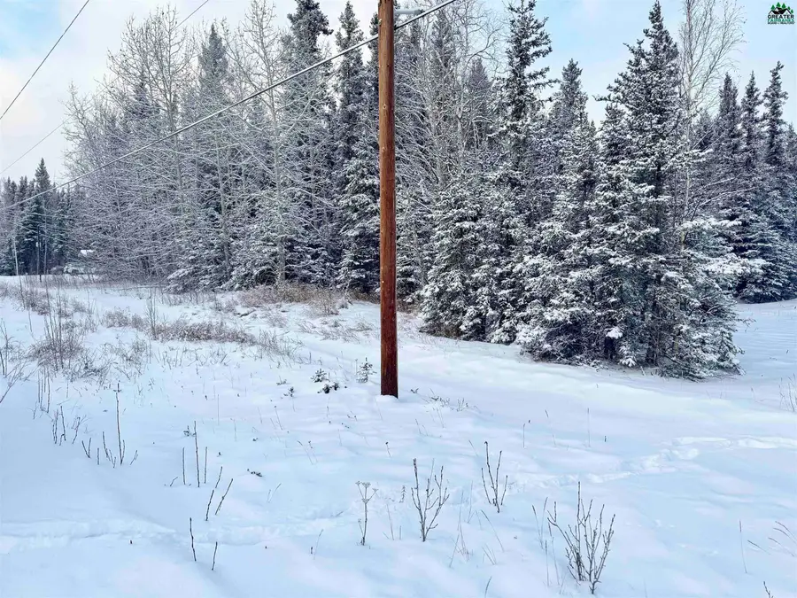 L11 B13 Kimball Street, Delta Junction, AK 99737 - #3