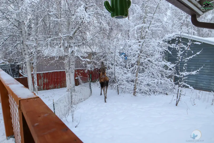 1180 GREGORY STREET, Fairbanks, AK 99709 - #3