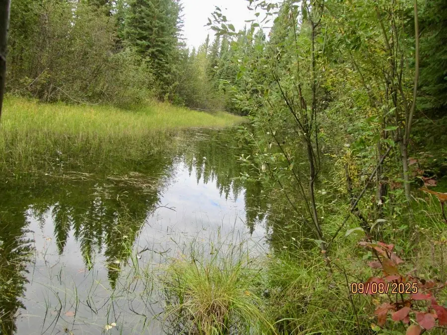 2883 Buzby Road, North Pole, AK 99705 - #2