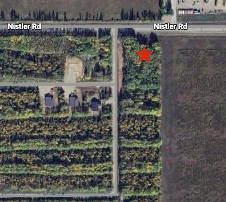 L1 Lana Lane, Delta Junction, AK 99737 - #3