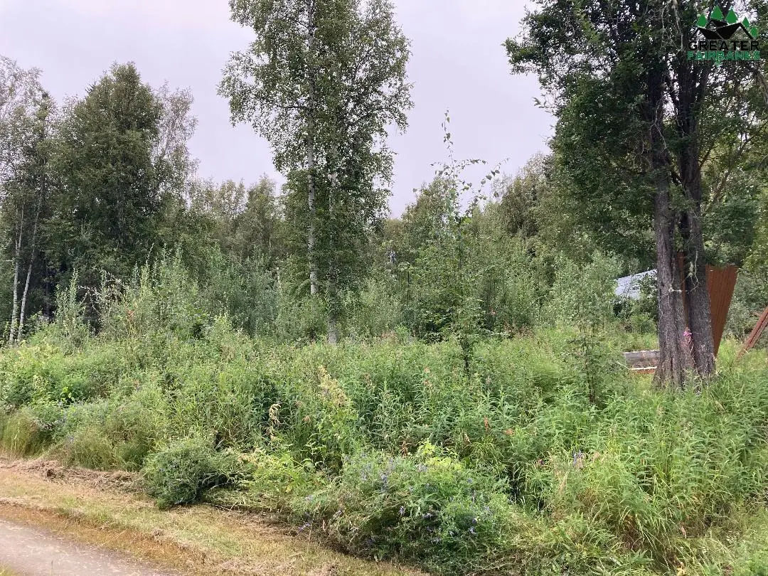 NHN SOURDOUGH STREET, Fairbanks, AK 99712 - #1