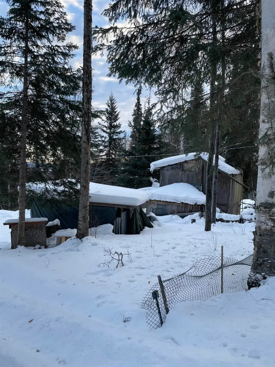 746 NINE MILE HILL ROAD, Fairbanks, AK 99712 - #3