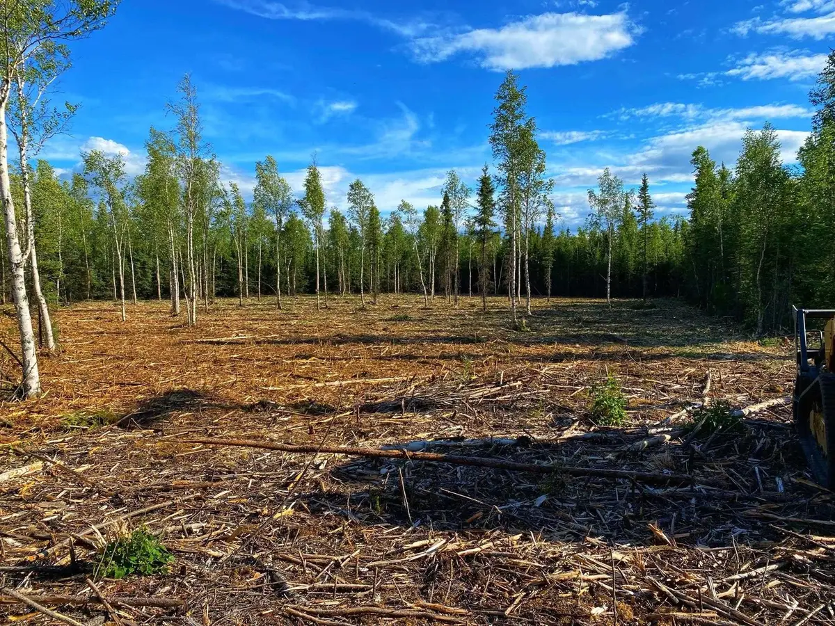 C-2 Allis Chalmers Court, Delta Junction, AK 99737 - #1