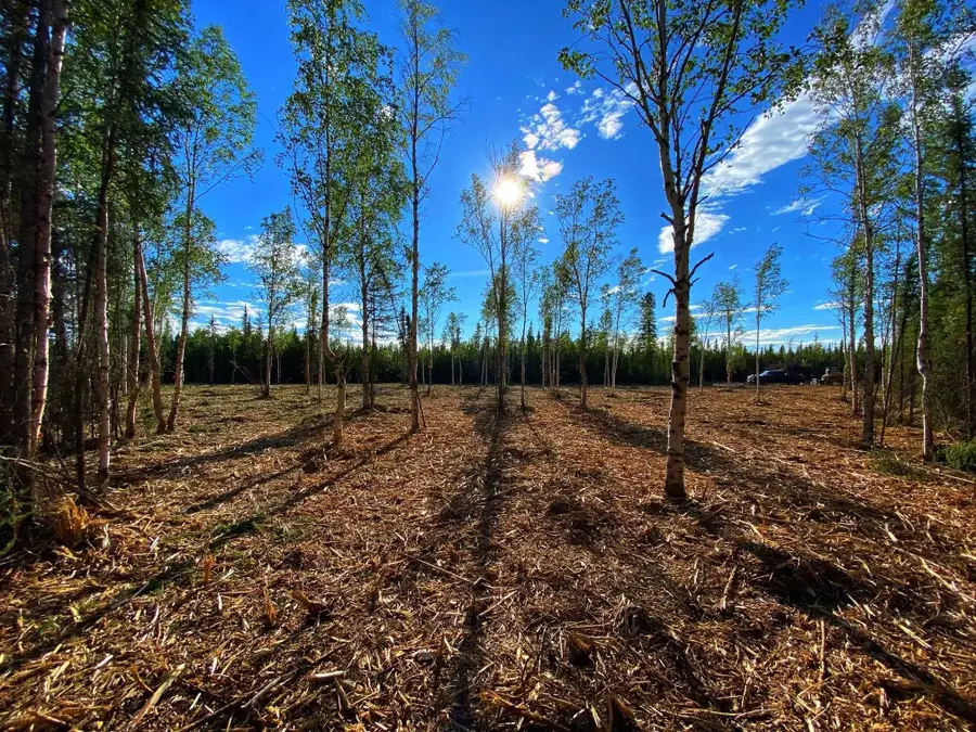 C-2 Allis Chalmers Court, Delta Junction, AK 99737 - #2