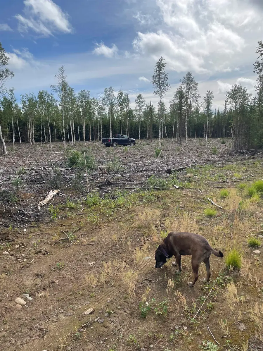 C-2 Allis Chalmers Court, Delta Junction, AK 99737 - #3