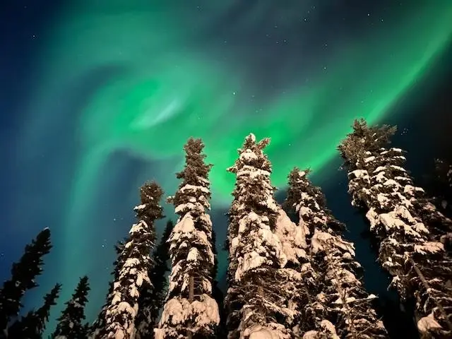 NHN TALL SPRUCE ROAD, Fairbanks, AK 99709 - #3