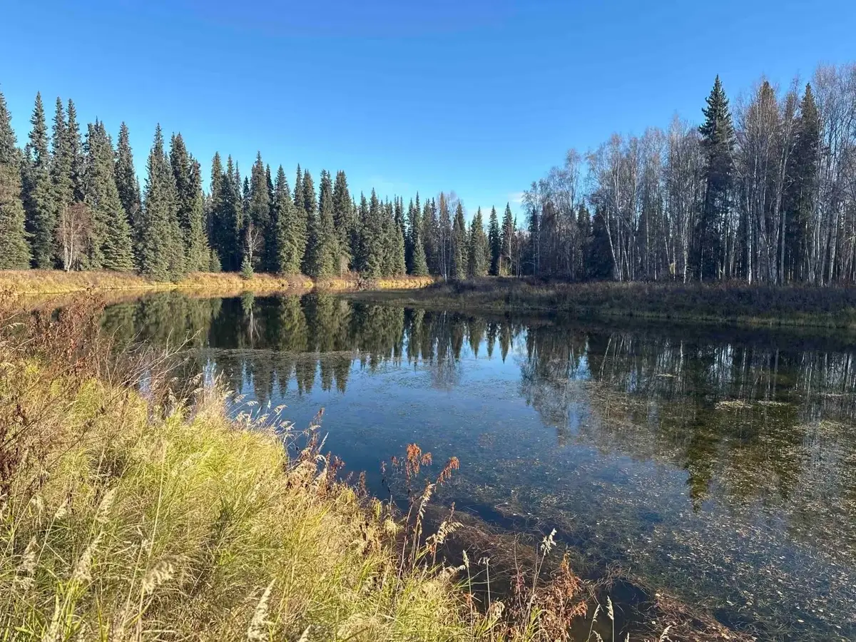 Lot 4, Block B RIVER PARK DRIVE, Fairbanks, AK 99712 - #1