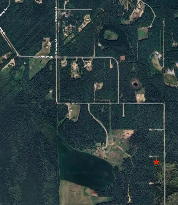 L13 TRIPLE H ROAD, Delta Junction, AK 99737