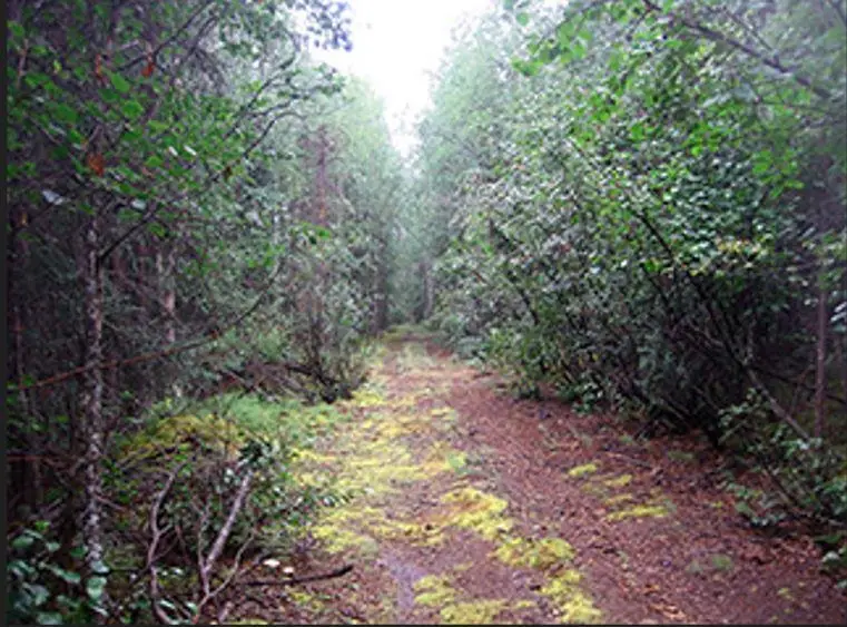 L12 B3 RIVERVIEW SUBDIVISION, Fairbanks, AK 99701 - #3