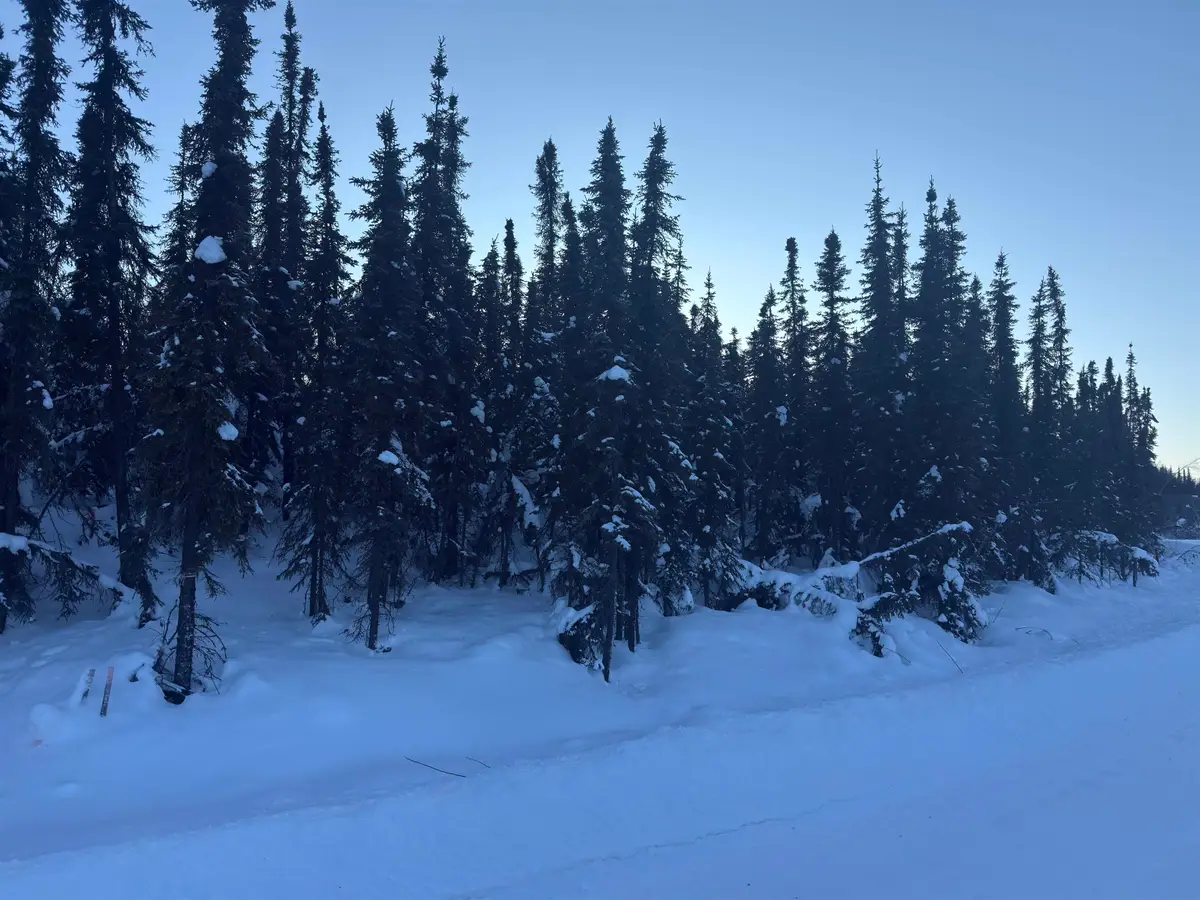 NHN CHENA ESTER DITCH ROAD, Fairbanks, AK 99709 - #1