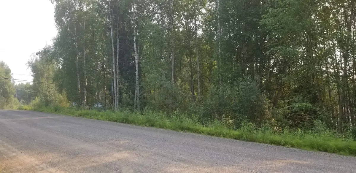 NHN BRIGHTON DRIVE, Fairbanks, AK 99712 - #1