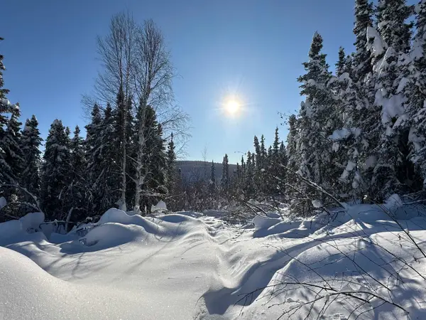 NHN ELAINE WAY, Fairbanks, AK 99709