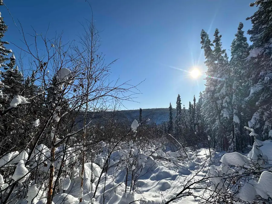 NHN ELAINE WAY, Fairbanks, AK 99709 - #2