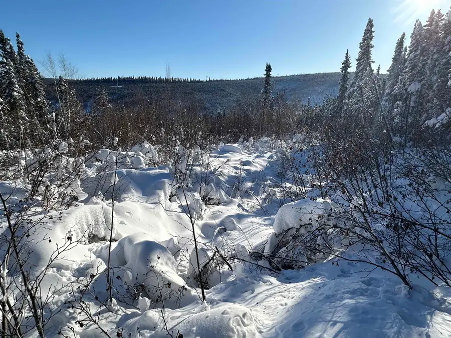 NHN ELAINE WAY, Fairbanks, AK 99709 - #3