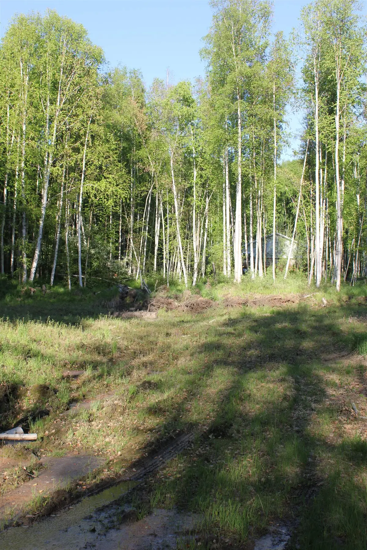 NHN TERRACE DRIVE #LOT 118, Fairbanks, AK 99712 - #1