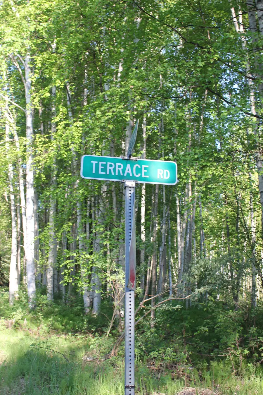 NHN TERRACE DRIVE #LOT 118, Fairbanks, AK 99712 - #2