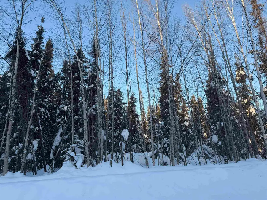 NHN REDSTONE ROAD, North Pole, AK 99705 - #2