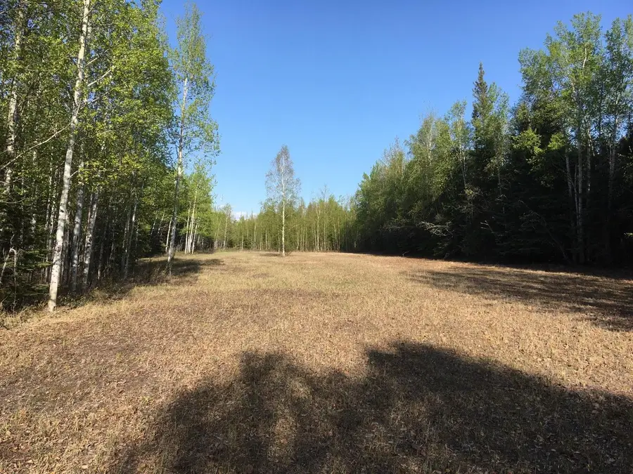 L3 LENG ROAD, Delta Junction, AK 99737 - #3