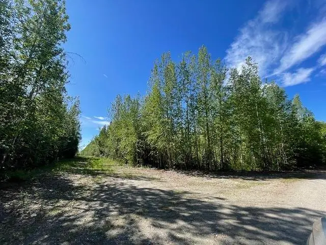 NHN BADGER ROAD, North Pole, AK 99705 - #2