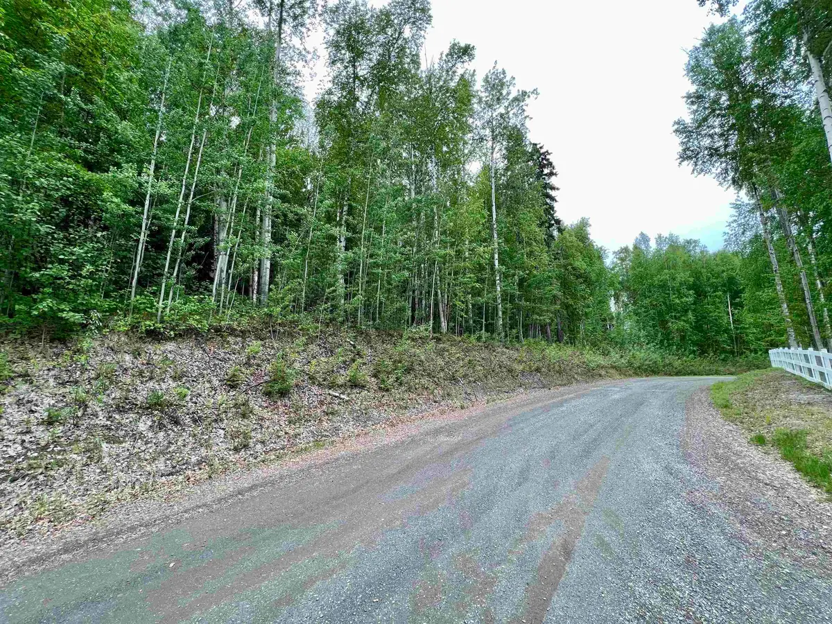 NHN WHITESIDE COURT #Lot 14, Fairbanks, AK 99709 - #1