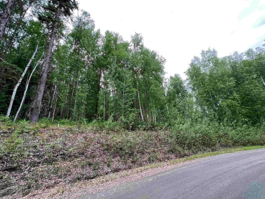 NHN WHITESIDE COURT #Lot 15, Fairbanks, AK 99709 - #3