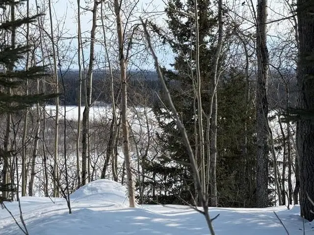 NHN EDBY ROAD, Fairbanks, AK 99709 - #3