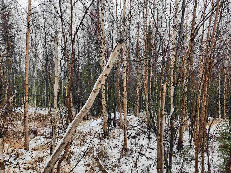 NHN LEUTHOLD DRIVE, Fairbanks, AK 99712 - #3