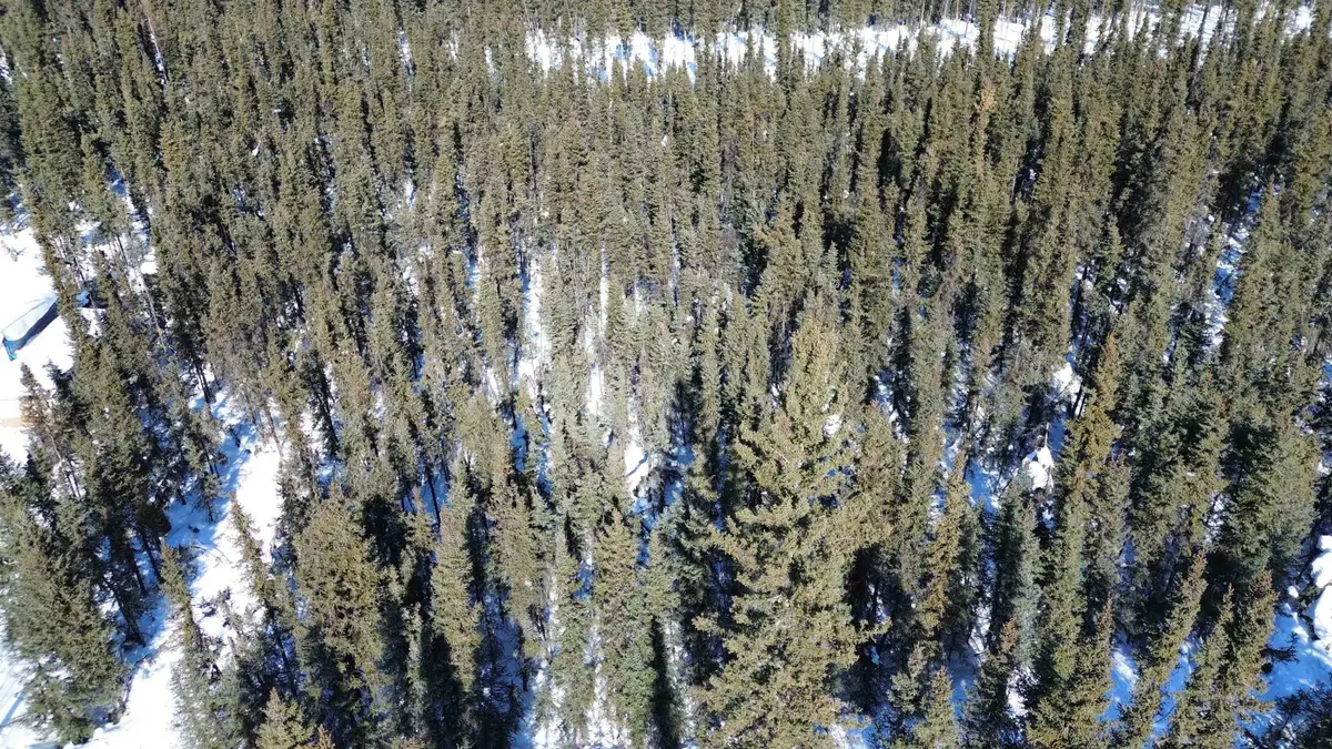 NHN HARDING DRIVE, Salcha, AK 99714 - #1