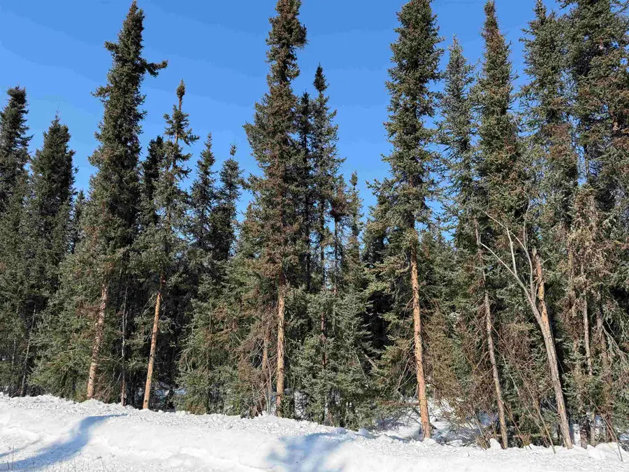 NHN HARDING DRIVE, Salcha, AK 99714 - #2