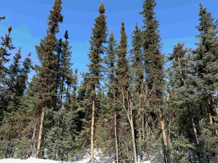 NHN HARDING DRIVE, Salcha, AK 99714 - #3