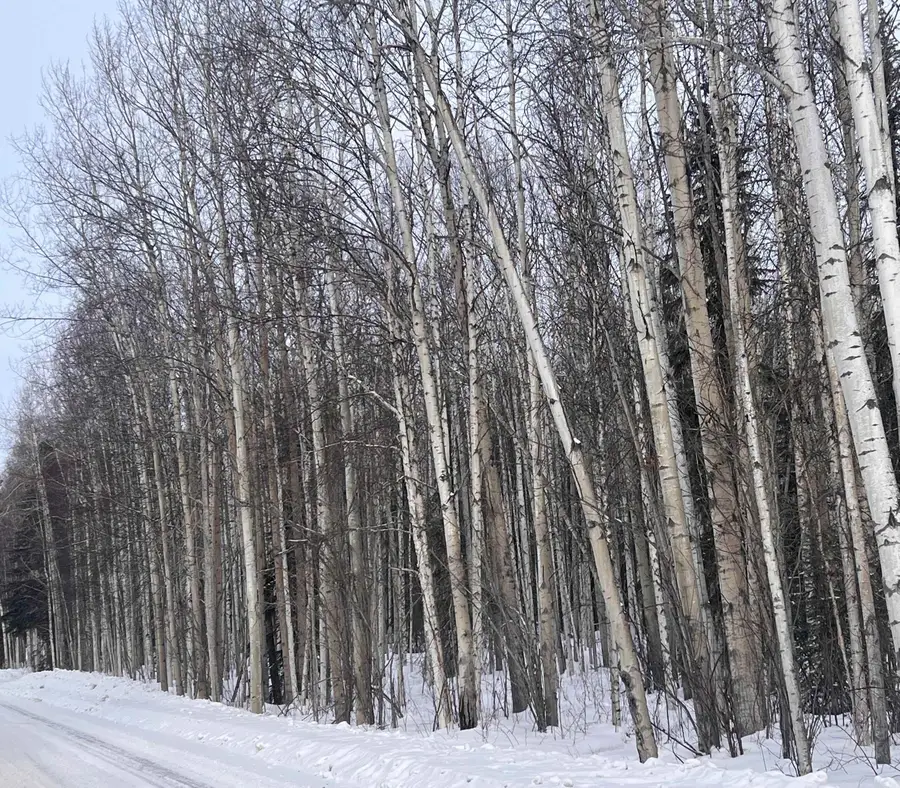 Lot 1 SUNLIGHT DRIVE, Fairbanks, AK 99709 - #2