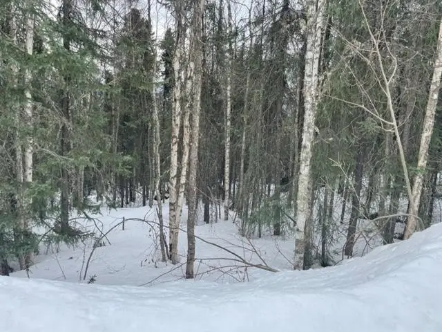 nhn HIMILAYA ROAD, Fairbanks, AK 99712 - #2