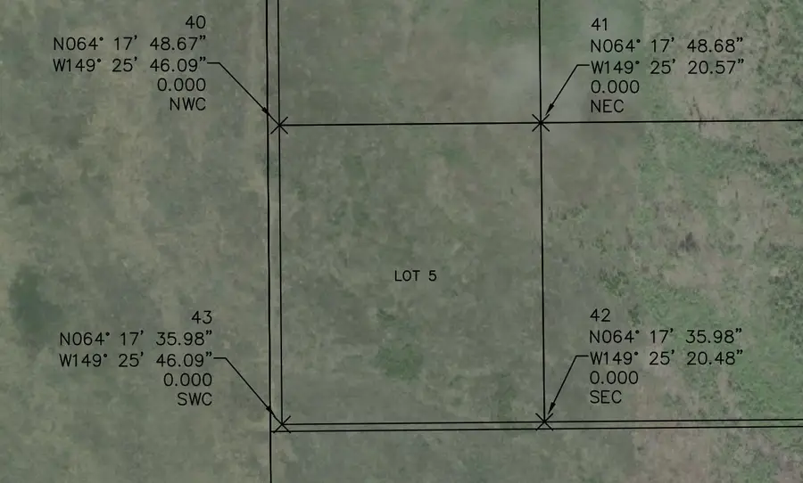 L-5 KOBE AG ROAD, Anderson, AK 99744 - #2