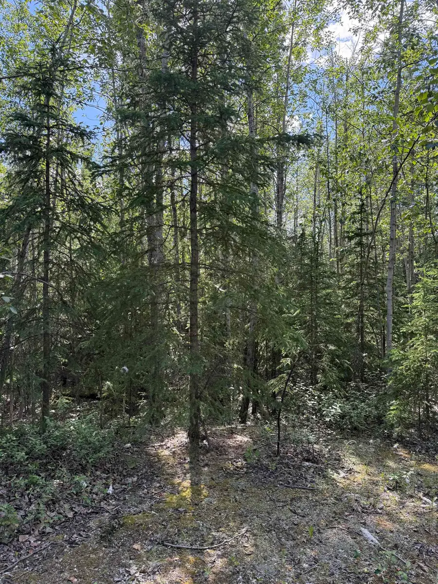 15082 RICHARDSON HIGHWAY, Delta Junction, AK 99737 - #3