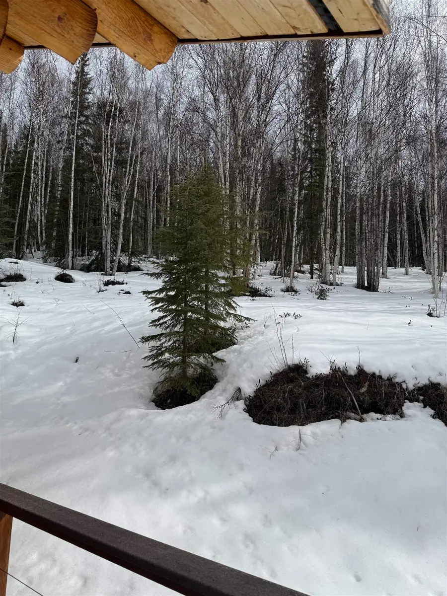 55.5 CHENA HOT SPRINGS ROAD, Fairbanks, AK 99712 - #3