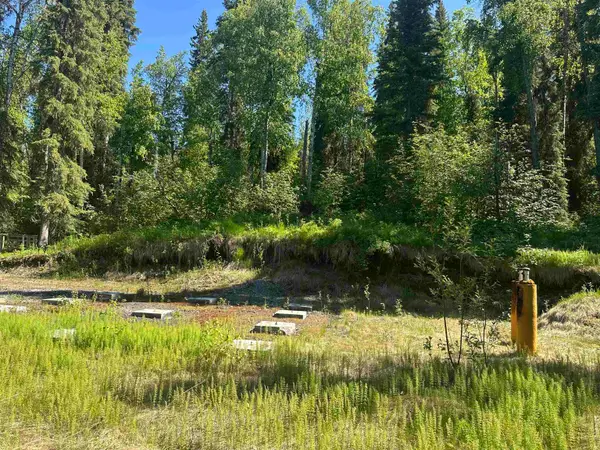 2133 CRIPPLE CREEK ROAD, Fairbanks, AK 99709