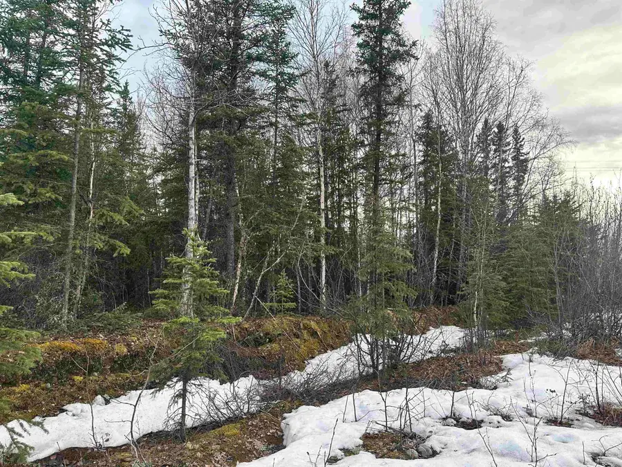 7405 WILLIAMSBURG RD, Salcha, AK 99714 - #3