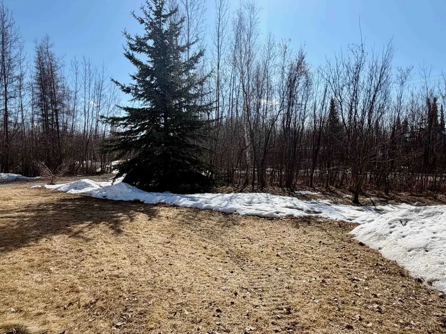 1270 LETHA MARIE COURT, North Pole, AK 99705 - #2