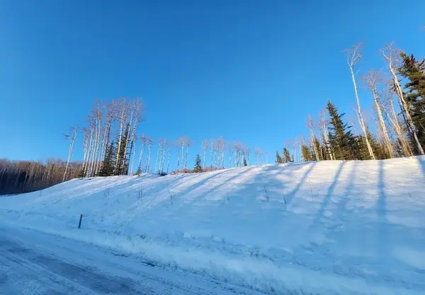1350 BELLA VISTA DRIVE, Fairbanks, AK 99709