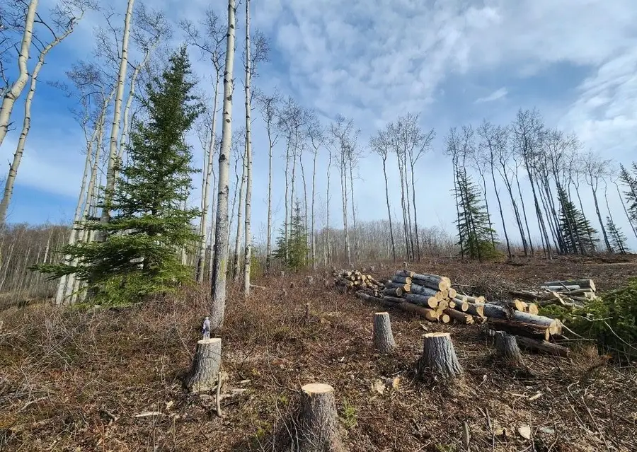 1350 BELLA VISTA DRIVE, Fairbanks, AK 99709 - #2