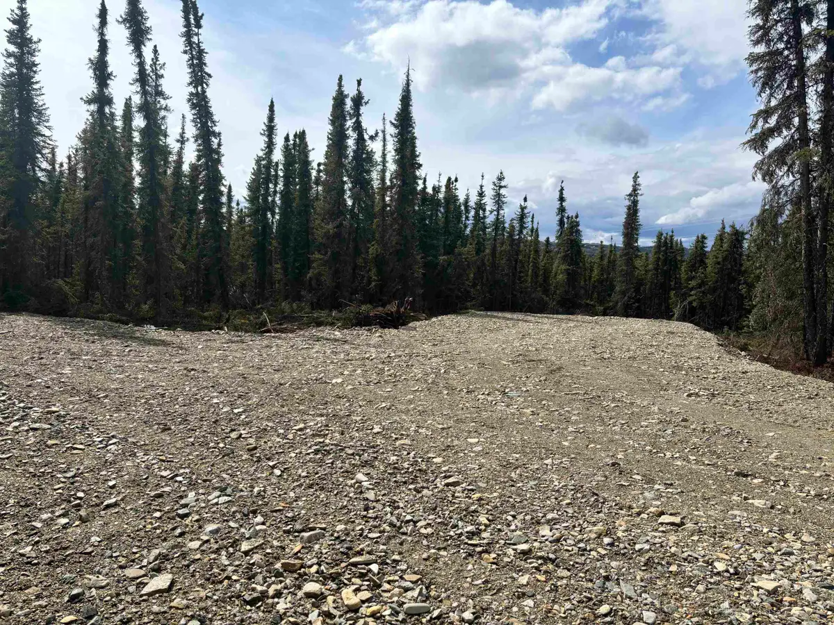 Lot 11 BLUE YONDER DRIVE, Fairbanks, AK 99712 - #1