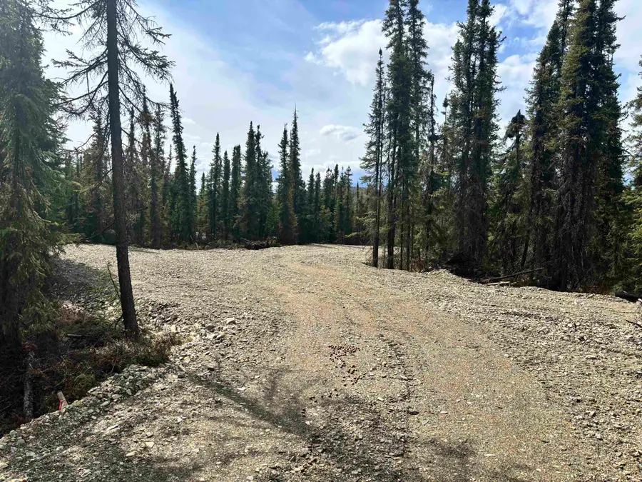 Lot 11 BLUE YONDER DRIVE, Fairbanks, AK 99712 - #3