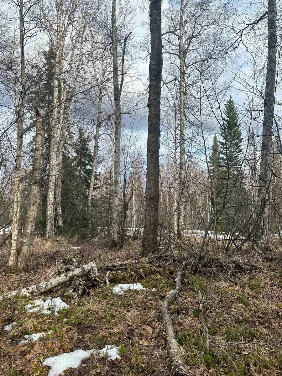NHN PEREGRINE RIDGE ROAD, Salcha, AK 99714 - #2