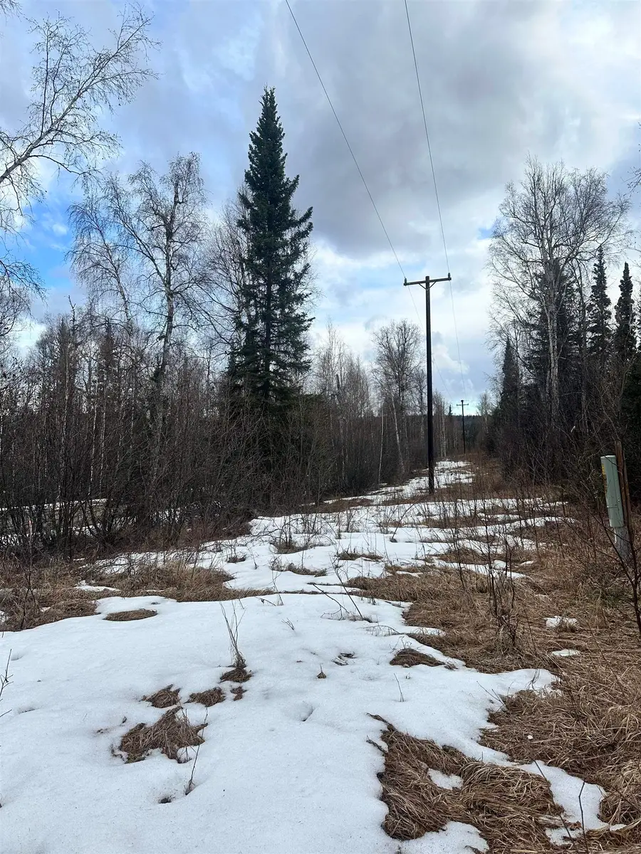NHN PEREGRINE RIDGE ROAD, Salcha, AK 99714 - #3