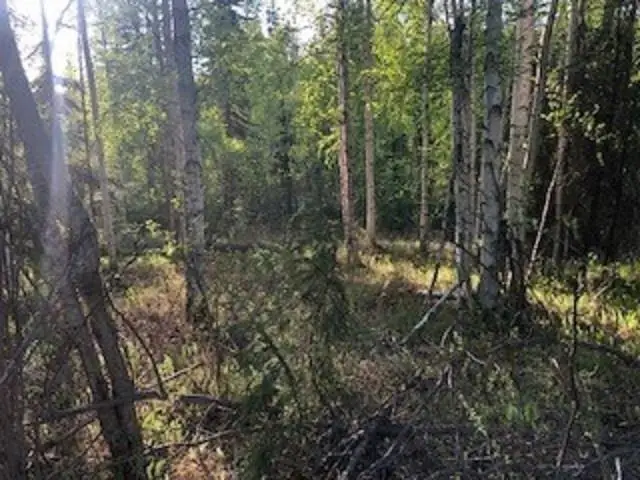 690 MANCHESTER LOOP, Fairbanks, AK 99709 - #3